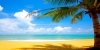 Доминикана - Плая Баваро - All Inclusive  с водач на български език