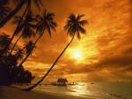    -   9 
  All Inclusive 