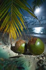 -     Cayo Santa Maria!