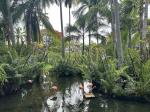         !
SUNSCAPE COCO PUNTA CANA 5* ALL INCLUSIVE